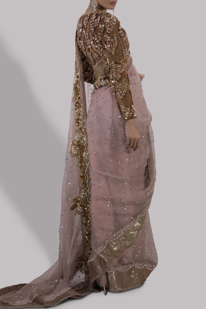 CAMEO ROSE EMBELLISHED ORGANZA SARI