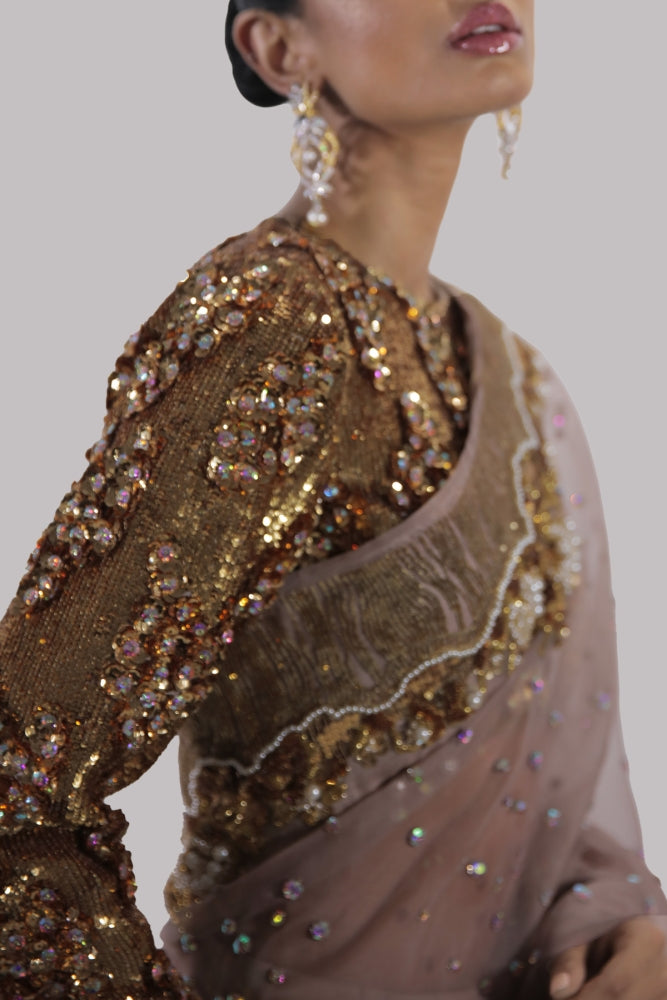 CAMEO ROSE EMBELLISHED ORGANZA SARI