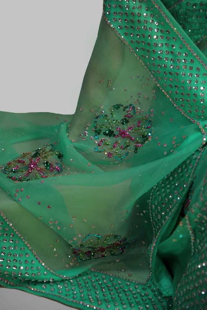 SPRING BUD EMBELLISHED ORGANZA SARI